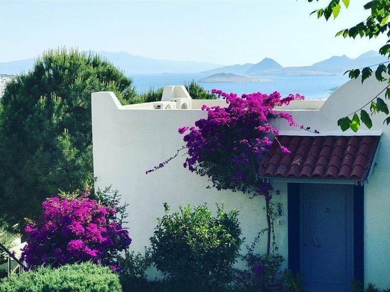 Club Dedeman Bodrum ビテツ エクステリア 写真
